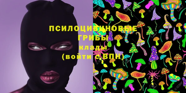 spice Вязники